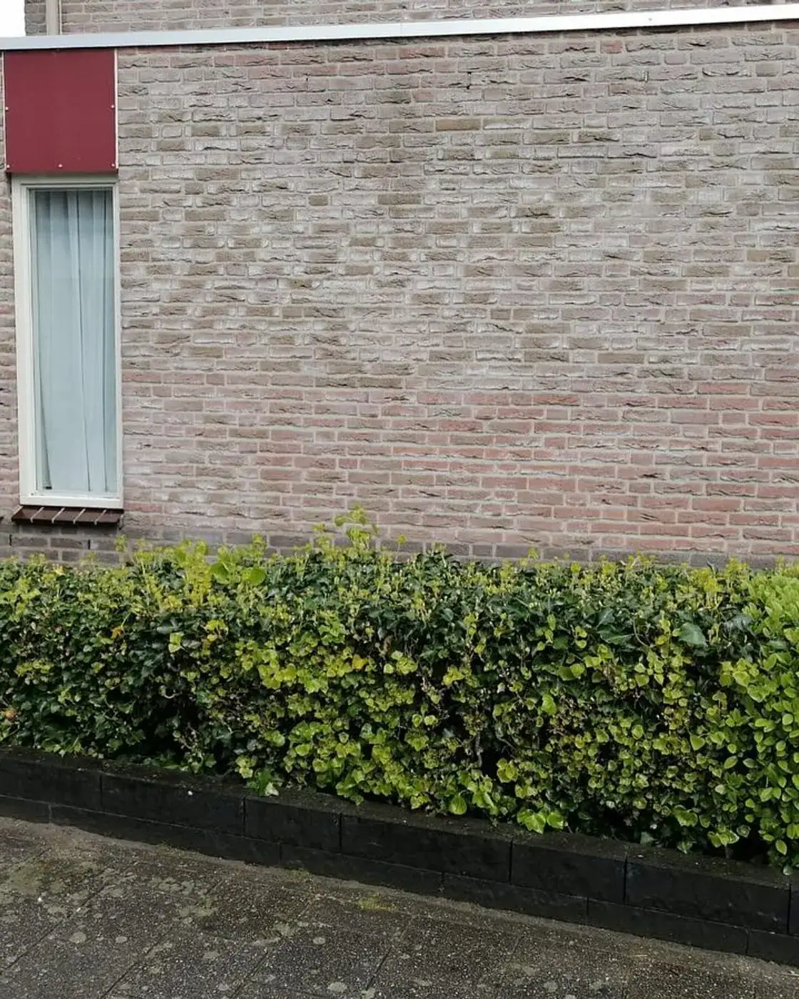 Schone, egale bakstenen gevel